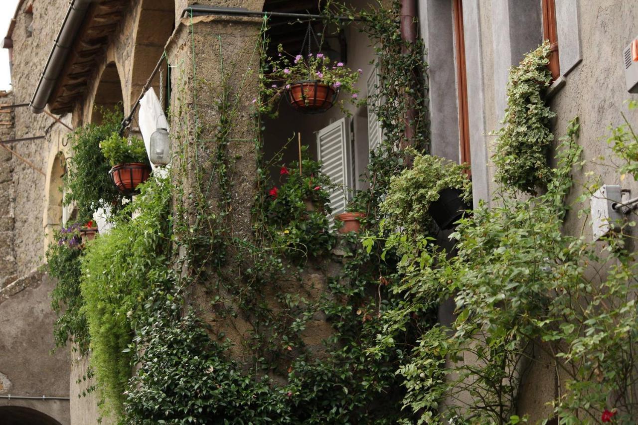 Boutique B&B Residenza Farnese מראה חיצוני תמונה